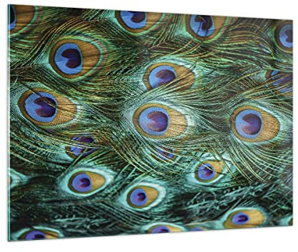 ARTTOR Glasbild 100x70cm Wandbild Glasdruck Sonstige Tiere - 4159 | Pfauen Stift Makro Groß Modern Dekoration Wohnzimmer Schlafzimmer Küche Wanddeko Kunstdruck Art Wall Decor ARTTOR