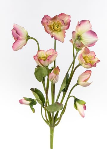 Seidenblumen Roß Christrosenbusch Natural 30cm rosa FT Kunstblumen künstliche Christrose Blumen Helleborus