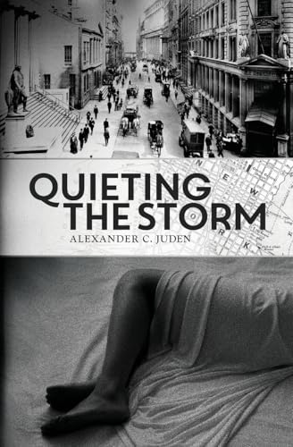 Quieting the Storm (John Griffin Post Great War Mysteries, Band 4)