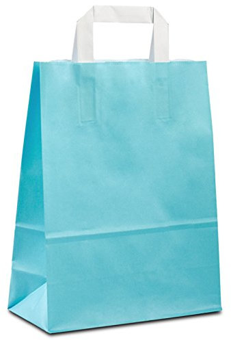 100 x Papiertüten hellblau 22+10x28 cm | Papiertragetaschen mit Henkel | Kraftpapiertüten | Papiertaschen klein | HUTNER