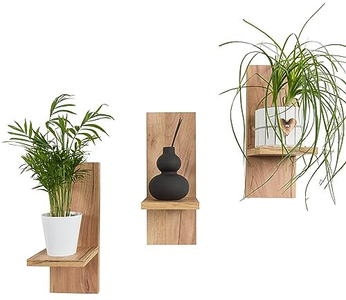 Mex-System Blumenregal 3er Set Stilvolles Wandregal Holz für Ihre Pflanzen und Wanddeko (Craft)