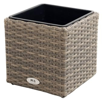 Ploß Nizza Pflanzgefäß, Champagner-meliert, Geflecht, kubisch, 28x28x28 cm, Kunststoffeinsatz
