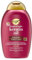 OGX Keratin Oil Shampoo (385 ml) - Kräftigendes Anti-Haarbruch Shampoo Mit Keratin Öl für Strapaziertes Haar, Verhindert Nachweislich Haarbruch Und Reduziert Spliss Um Bis Zu 80%
