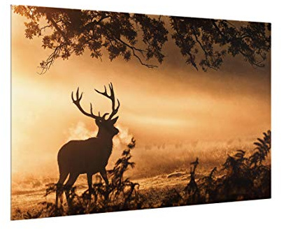 micasia Glas Spritzschutz magnetisch 4 mm starke Küchenrückwand Wald Glasrückwand - Made in Germany - Modern Hirsch Wandpaneel braun Küche Herd Magnetwand 4818-M (90x59cm)
