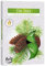 DUFTKERZEN 6ER PACK TEELICHTER, Duft:Tannenbaum