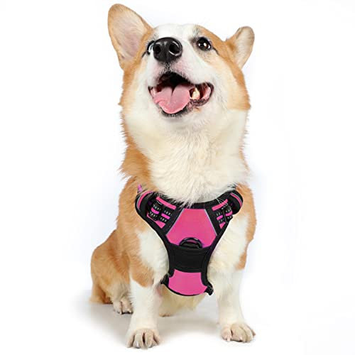rabbitgoo Harnais Chien Anti Traction, Arnet pour Chien avec Poignée Contrôl, Facile à Mettre, Gilet Réfléchissant Réglable avec Attache Devant, Harnais pour Chien Petit Moyen et Grand, Rose Rouge, M