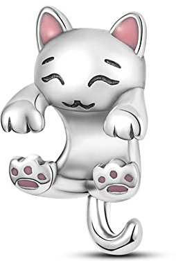 Pandach Damen Charm Anhänger für Armband 925 Sterling Silber Charms Beads passend für Armband und Halskette, Kompatibel mit Europäischen Armbänder für Frauen Mädchen C4