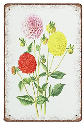 Rote Pom Pom Dahlie Blechschilder, 1964 Vintage botanisches gelbes Dahlie-Poster, lustiges Metallschild, Plaqu-Poster, Wandkunst, Kneipe, Bar, Küche, Garten, Badezimmer, Heimdekoration, 20,3 x 30,5 cm
