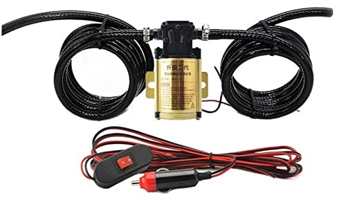Pompa diesel a benzina elettrica 12V 24V Pompa autoadescante universale ad alta potenza