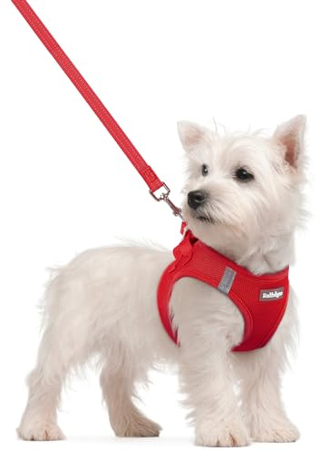 rabbitgoo Hundegeschirr Kleine Hunde mit Leine Step-in, Rot, M | Einfach anzulegen, Atmungsaktiv, Weiches Mesh & Reflektierend, Sicherheitsverschluss mit 1,5m Leine für Kleine Mittlere Hunde