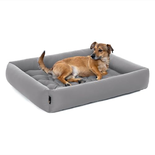 Pointer | Hundebett Mittelgroße Hunde - Orthopädisches Hundebett mit Herausnehmbarer Matratze, Waschbar bis 95°C, Trocknergeeignet, Kratzfest & Bissfest, Made in Germany (L - 80x70 cm, Hellgrau)