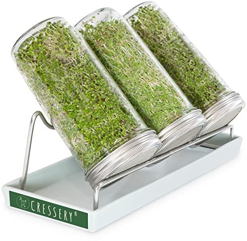 Cressery® Sprossenglas Keimglas 3er Set [grau] mit Deckel & Sieb aus hochwertigem Edelstahl für Sprossenzucht | Keimglas für Sprossen | Sprossen Keimgerät