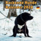 Kackende Hunde Kalender 2024: Das lustige Geschenk für Männer Frauen Freunde Kollegen Weihnachten Geburtstag Valentinstag | Haustier Kalender 2024.