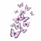 x12 Purple Butterfly Stickers, Hardwearing Waterproof 0% Transparency Decals, DIY Peel & Stick Perfect to Cover Marks, Wall Decor, Weatherproof for Cars & Home Projects. LaoGraphics® (12 Lilac, A5)