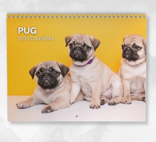 Mops-Kalender 2026: Monatlicher Wandkalender mit Notizen, hängend im A4-Format, inklusive Schlüsseldaten & Feiertagen