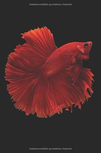 Aquarium Tagebuch: Planer, Notizbuch, Bestandsbuch, Futterplan für alle Auqarianer und Aquaristik Fans ♦ Logbuch für über 100 Einträge ♦ 6x9 Format ♦ Motiv: Roter Fisch