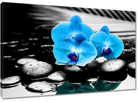 H5610M_PC1B Wandbild auf Leinwand, 120 x 80 cm, Türkis Orchidee