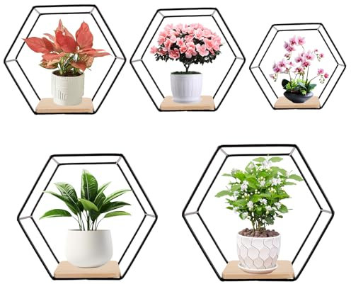 SHUESS Hexagon Wandregal Schwarz Metall 5er Set, Regal Wand Deko Hängeregal Loft Wandregale, Regal Schwarz für Wanddeko in Wohnzimmer, Schlafzimmer, Bad, Café und Hotel