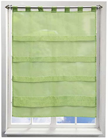 BAILEY JO Gardine mit Falten Schlaufen Gardinen Voile Lichtdurchlässig Vorhang (BxH 100x110cm, grün)