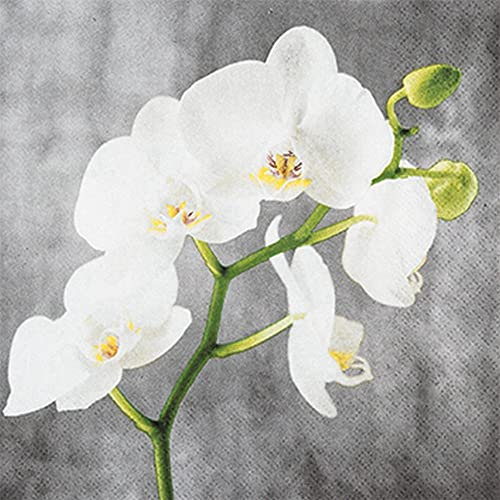 20 kleine Cocktail-Servietten weiße Orchidee | Blumen | zeitlos | Tischdeko | Decoupage | Serviettentechnik 25x25cm