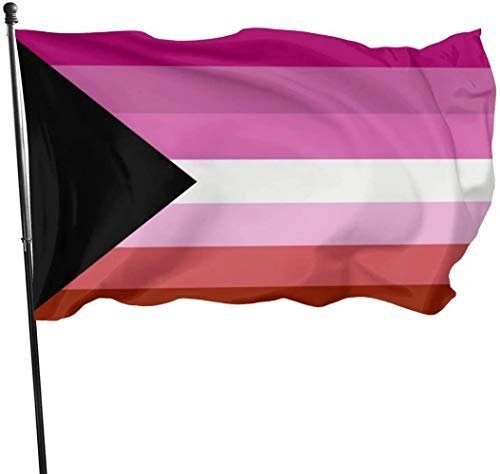 Demisexual Demi Lesbian Pride Flag Themed Single Printed Welcome Party Flag Home Garden Yard Outdoor Dekorative 3 x 5 Ft große Flagge