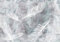wandmotiv24 Fototapete Federn Aquarell Weiß, XXL 400 x 280 cm - 8 Teile, Wanddeko, Wandbild, Wandtapete, Vintage, Gemalt, Grau M1809