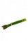 Floristrywarehouse Künstliche Spargel, 24 cm lang, 5 Stück
