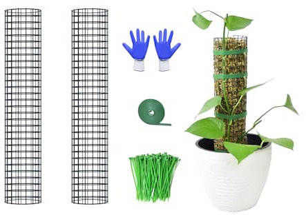 HOLANHING Confezione da 2 pali in metallo per muschio da 38,1 cm, per piante Monstera, impilabili, per piante rampicanti, funzionano con muschio di sfagno (confezione da 2 da 38,1 cm)