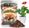GOTVUGE Premium Blumenerde für Anthurium & Zimmerpflanzen – Optimale Entwässerung, Ohne Zusatzstoffe | Hochwertige Zimmerpflanzen Erde Mischung (2L)