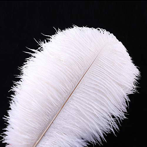 20pcs Natural Ostrich Feathers Plume 10-12inch(25-30cm) for Wedding Centerpieces Home Decoration (10-12inch,White)