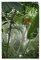 Les puzzles de scène de forêt tropicale sont adaptés pour les adultes, les garçons et les filles. Puzzle de 1000 pièces