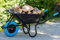 TIREX by xonic® Schubkarre mit Stahlfelge – Verzinkte Wanne bis 250kg/ 100l - Robuste Ausführung für Garten und BAU – Schieb-Karre mit PU Vollgummi-Rad - Blau- Schwarz