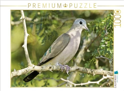 CALVENDO Puzzle Bronzefleck-Taube im Kruger Nationalpark | 1000 Teile Lege-Größe 64 x 48 cm Foto-Puzzle für glückliche Stunden
