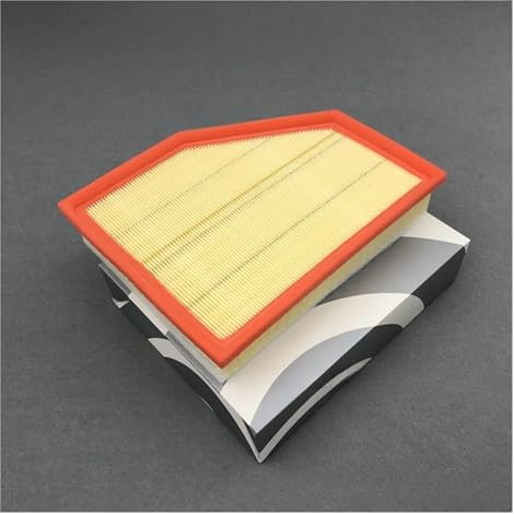 daili Store Elemento detergente for Filtro Aria Auto 13718577170 Compatibile con BMW G01 G02 G05 G11 G12 G30 X3 X4 X5 X6 520 530 730 740 Motore di aspirazione ad Alto Flusso