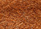 10 Liter Premium Bachflohkrebse - Koi - Gammarus ca. 1,0 kg