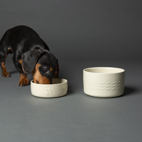 Scruffs Icon 2 Piece Set 13cm Pet Food & Water Bowl Set - Cream