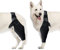 Ellenbogenbandage für Hunde, Ellenbogenbandage, Kompressionsbandage, Kniebandage für Hunde, Ellenbogen- und Schulterstütze, Dysplasie, Arthritis, Ellenbogenschwielen, Druckgeschwüre(XL)