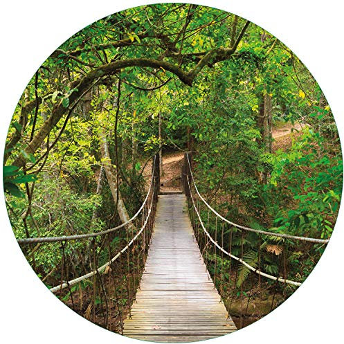 Wallario Glasbild rund Hängebrücke im Urwald grüner Dschungel - Rund, 50 cm Durchmesser Wandbild Glas in Premium-Qualität: Brillante Farben, freischwebende Optik