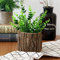 Fioriera in legno con corteccia di salice naturale piccolo cactus succulente tronco fioriera decorativa artigianale rustico vaso vaso vaso