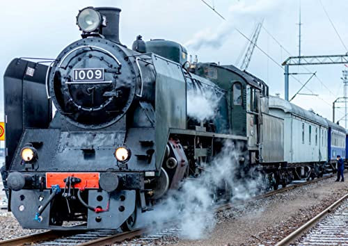 HANSEPUZZLE 109833 - Eisenbahn Puzzle 260 Teile | Fortbewegung Puzzle mit hochwertiger Puzzle Aufbewahrung: Kartonbox und wiederverschließbarem Beutel | Puzzle-Maße: 41 x 28,7 cm