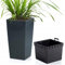 B2C Tall Planter Plant Pot Flower with Insert Indoor Outdoor Garden Patio Home Large Plastic With insert (Anthracite, H50cm W26.5cm)