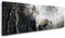 Visario 120 x 40 cm Bild weißes Pferd 5739