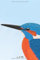 jz.birds Notizbuch A5 Eisvogel Vogel Zeichnung 100 Seiten Schwarz&Weiß