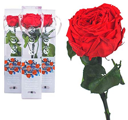 3x Echte Rose konserviert 27 cm Rot preserved, ewige Rose gefriergetrocknet mit Stiel und Blättern - lange haltbare Schnittblumen in Geschenkbox, beste Deko