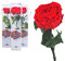 3x Echte Rose konserviert 27 cm Rot preserved, ewige Rose gefriergetrocknet mit Stiel und Blättern - lange haltbare Schnittblumen in Geschenkbox, beste Deko