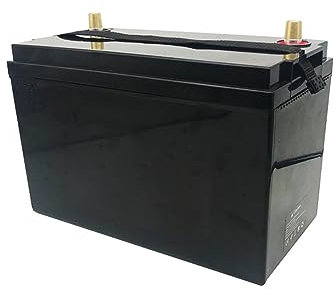 WILLQ 12.8V 50AH 80AH 100AH 200AH 300AH LiFePO4 Battery 12 Volt Rechargeable Battery 3000+ Cycle for RV Camping Marine Solar Home Off-Grid System Backup Power,12.8V80Ah