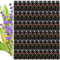Therapeutic Grade Magnolia Ätherisches Öl Set für Diffuser, Aromatherapie Lotus ätherisches Öl Set für Luftbefeuchter, 66x10ml 100% reine ätherische Öle Tuberose Set- Ananas, Calendula Öle...für Haus