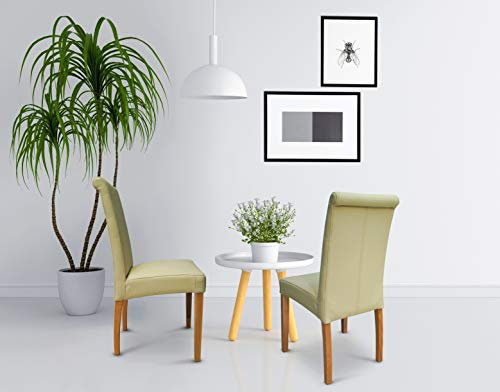 Quattro Meble Stühle Arthur Echtleder Lederstühle Echt Leder Hermes Cream Esszimmerstuhl Lehnstuhl Creme Leder Rindsleder Volleder Esszimmerstühle Eszimmer Stuhl