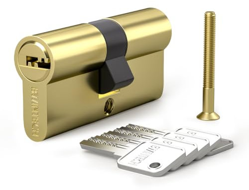 Bwintech 1 pieza 30/30mm Euro Latón Cilindro, cerradura de llave/cilindro de 60mm con 5 llaves horizontales de latón, antirrobo, antiperforación, antigolpes, latón pulido