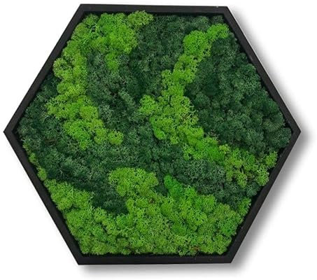 LoveLasy Bicolor Moos Wandbild Hexagon für Haus und Büro, Moosbild (Black frame, middle)